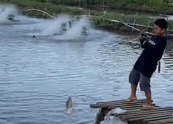 Kolam Pemancingan Hamzah Jadi Magnet Wisata Hobi Baru di Tanralili