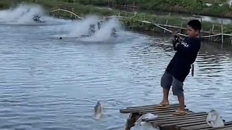 Kolam Pemancingan Hamzah Jadi Magnet Wisata Hobi Baru di Tanralili