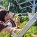 Wujudkan Ketahanan Pangan, Lurah Kapasa Raya Bersama Warga Panen Cabai dan Terung di Kebun Urban Farming Aglonema