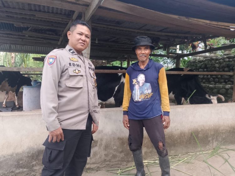 Sapa Peternak Sapi Perah, Bhabinkamtibmas Polsek Cendana Dukung Geliat Kuliner Dangke di Enrekang