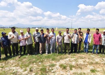 Dongkrak Produksi Padi hingga 10 Ton per Hektar, BPP dan KTNA Tompobulu Boyong Petani Studi Lapang ke BRMP Maros