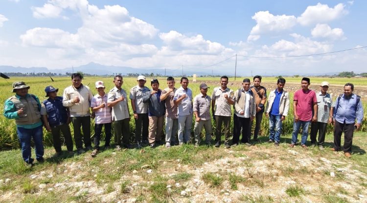 Dongkrak Produksi Padi hingga 10 Ton per Hektar, BPP dan KTNA Tompobulu Boyong Petani Studi Lapang ke BRMP Maros