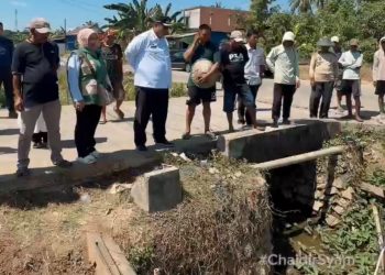 Bupati Maros Gerak Cepat Tangani Dampak Kekeringan Sawah Akibat El Niño