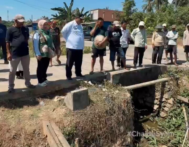 Bupati Maros Gerak Cepat Tangani Dampak Kekeringan Sawah Akibat El Niño