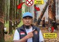 Dugaan Penyalahgunaan Hasil Hutan di Cenrana, Kades Laiya Bantah Terlibat dan Undang LSM-Media Beri Klarifikasi