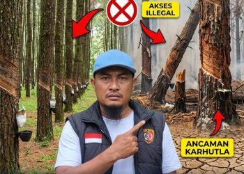 Dugaan Penyalahgunaan Hasil Hutan di Cenrana, Kades Laiya Bantah Terlibat dan Undang LSM-Media Beri Klarifikasi