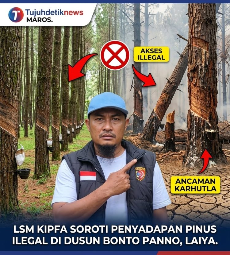 Dugaan Penyalahgunaan Hasil Hutan di Cenrana, Kades Laiya Bantah Terlibat dan Undang LSM-Media Beri Klarifikasi