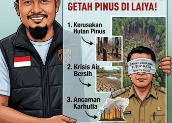 LSM KIPFA Desak APH Usut Dugaan Penyadapan Getah Pinus Ilegal di Laiya, Camat Cenrana Disebut Tutup Mata