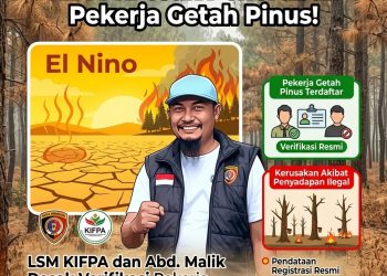 Dampak El Nino Memanjang, KIPFA Tantang Kejari Maros Usut Tuntas Penyalahgunaan Izin dan Pekerja Getah Pinus Ilegal di Camba, Cenrana, dan Mallawa