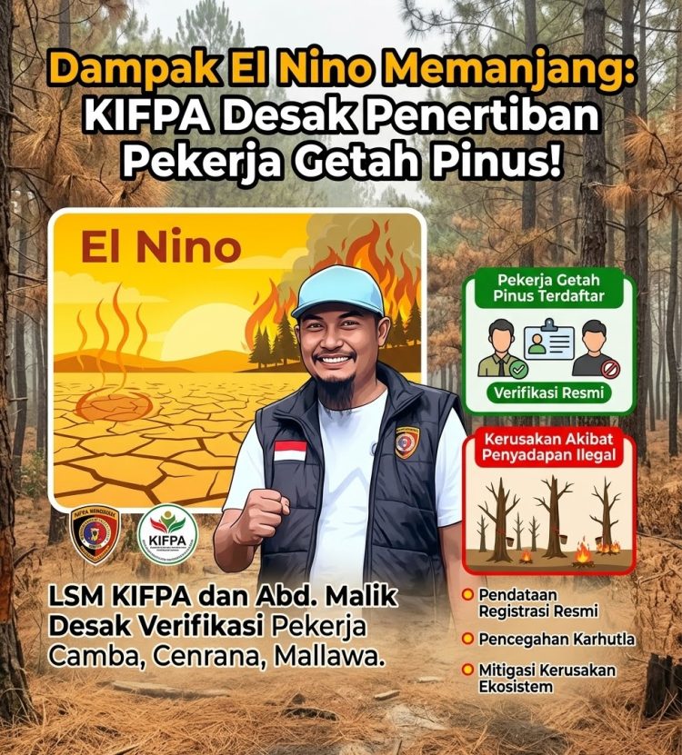 Dampak El Nino Memanjang, KIPFA Tantang Kejari Maros Usut Tuntas Penyalahgunaan Izin dan Pekerja Getah Pinus Ilegal di Camba, Cenrana, dan Mallawa