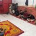Menyongsong Musda KNPI Maros, HPPMI UMI Resmi Usung Chaidir Saputra sebagai Calon Ketua
