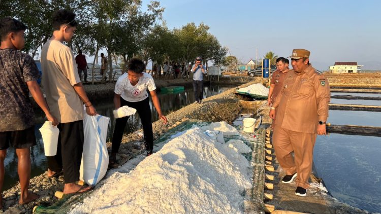 Bupati Maros Tinjau Sentra Garam di Bontoa, Produksi Bulanan Tembus 100 Ton