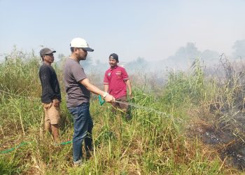 Respons Cepat, Lurah Daya Tinjau Lokasi Kebakaran Lahan di Perbatasan Kelurahan Daya dan Berua