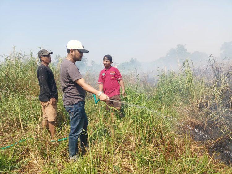 Respons Cepat, Lurah Daya Tinjau Lokasi Kebakaran Lahan di Perbatasan Kelurahan Daya dan Berua