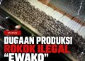 Aparat Penegak Hukum dan Bea Cukai Dituntut Bongkar Akar Produksi Rokok Ilegal “Ewako” di Majannang Maros