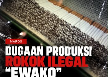 Aparat Penegak Hukum dan Bea Cukai Dituntut Bongkar Akar Produksi Rokok Ilegal “Ewako” di Majannang Maros